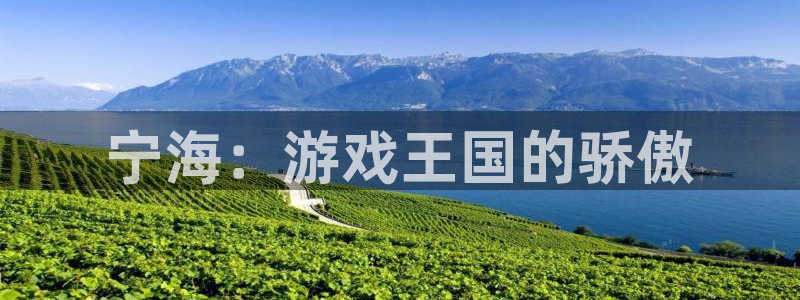 V8娱乐注册：宁海：游戏王国的骄傲