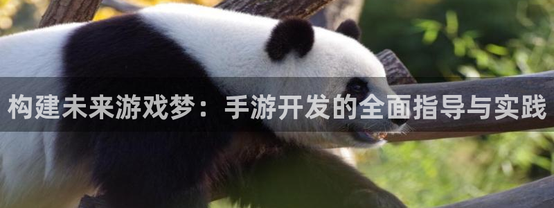 V8娱乐平台：构建未来游戏梦：手游开发的全面指导与实践