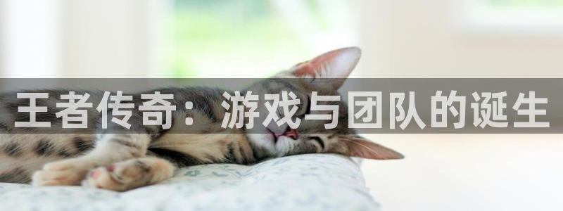 V8娱乐官网：王者传奇：游戏与团队的诞生