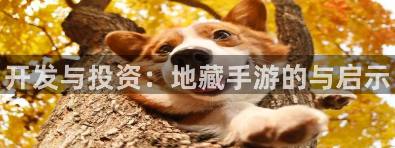 V8娱乐：开发与投资：地藏手游的与启示