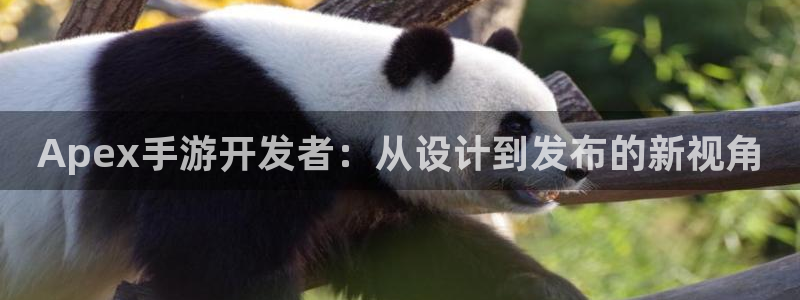 V8娱乐：Apex手游开发者：从设计到发布的新视角