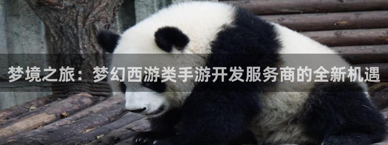 V8娱乐官网