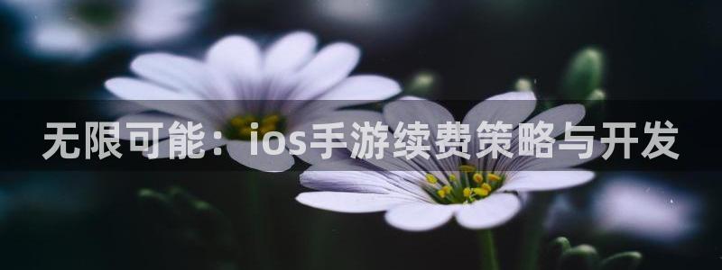 V8娱乐平台：无限可能：ios手游续费策略与开发