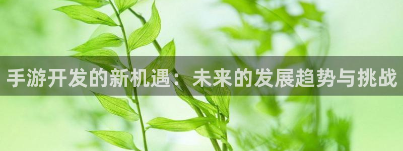 V8娱乐官网：手游开发的新机遇：未来的发展趋势与挑战