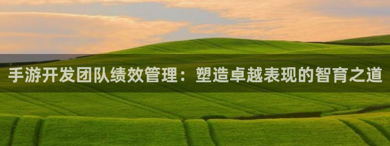 V8娱乐平台：手游开发团队绩效管理：塑造卓越表现的智育之道