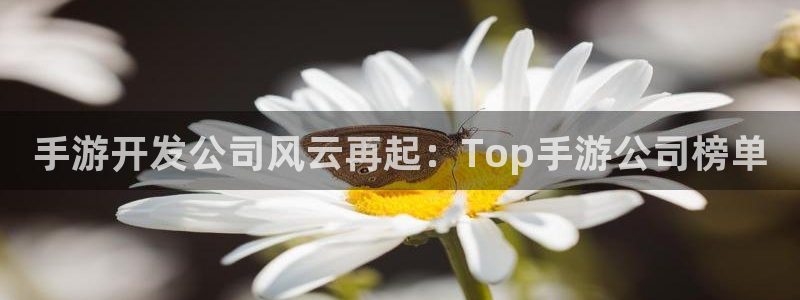 V8娱乐网：手游开发公司风云再起：Top手游公司榜单