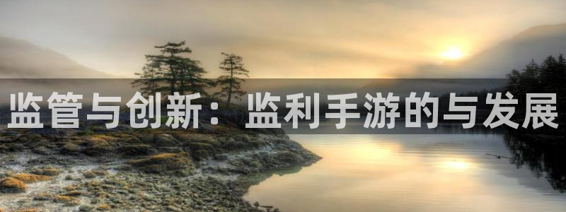 V8娱乐