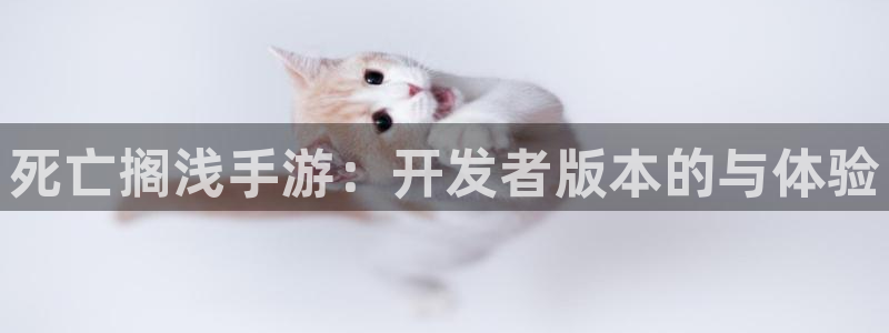 V8娱乐网：死亡搁浅手游：开发者版本的与体验