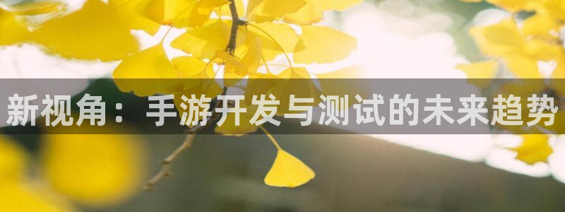 V8娱乐官网：新视角：手游开发与测试的未来趋势