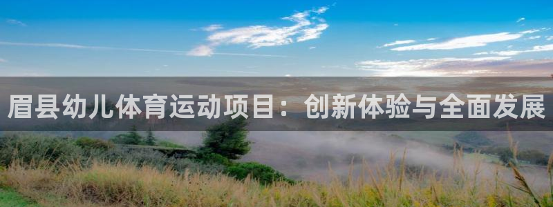 三亿体育网页版：眉县幼儿体育运动项目：创新体验与全面发展