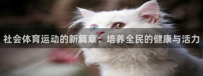 三亿体育网