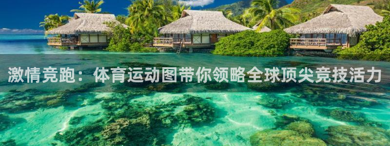 三亿体育网页版