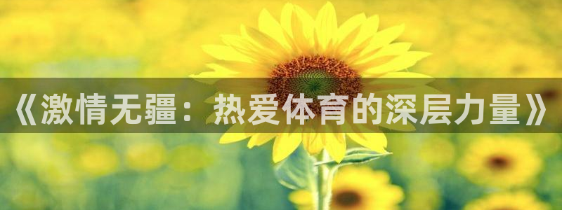 三亿体育