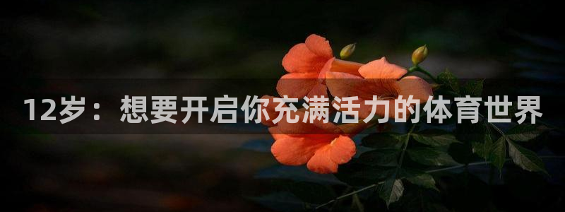 三亿体育网：12岁：想要开启你充满活力的体育世界