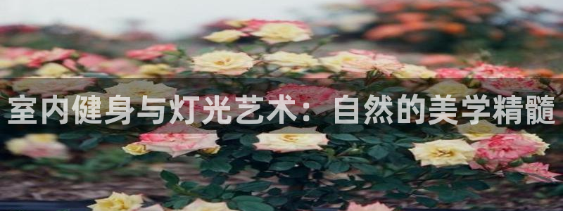 三亿体育网：室内健身与灯光艺术：自然的美学精髓